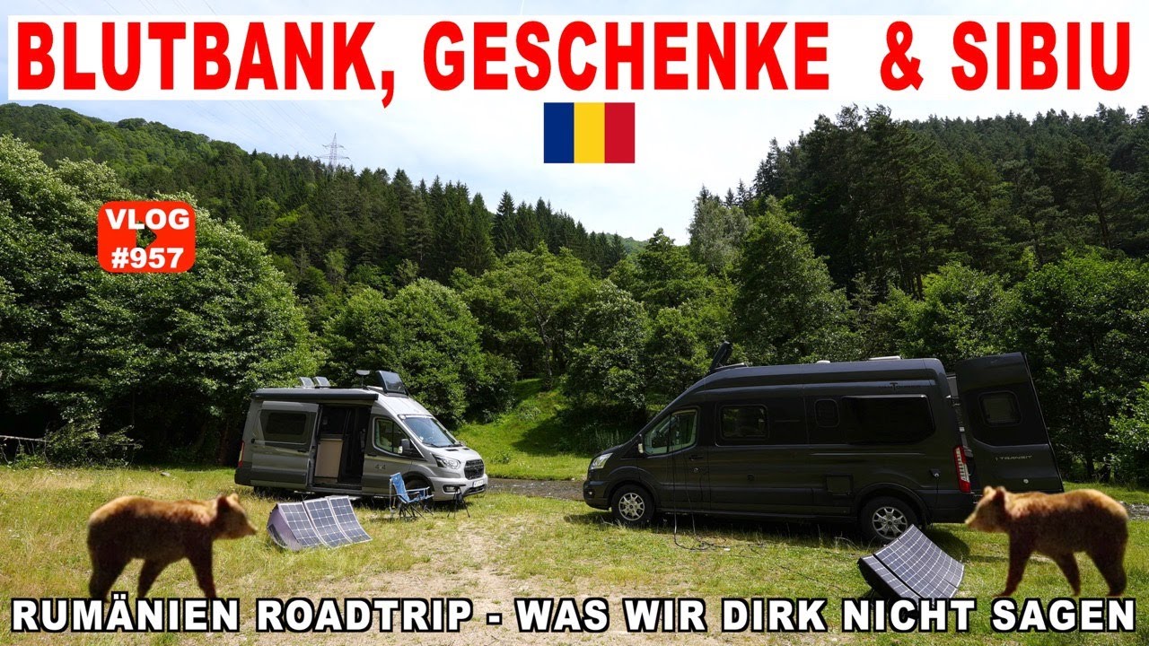 #957 Die Sache mit den Französinnen, Transfogarascher, Sibiu/Hermannstadt | Straßenhund? Rumänien