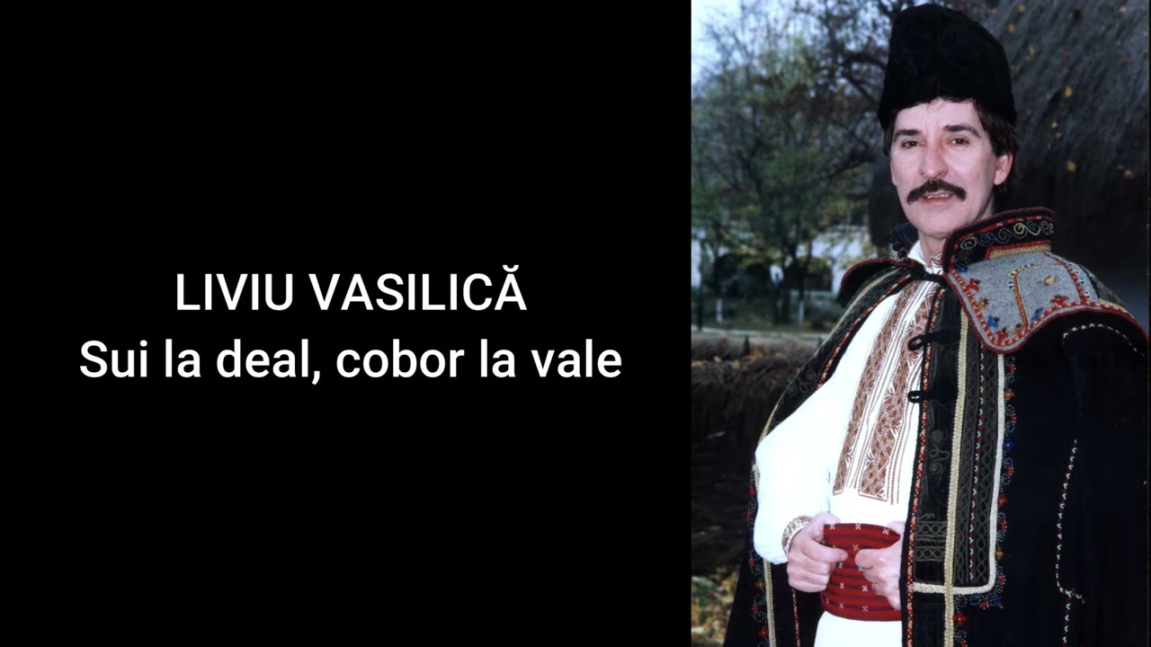 Liviu Vasilica - Sui la deal, cobor la vale