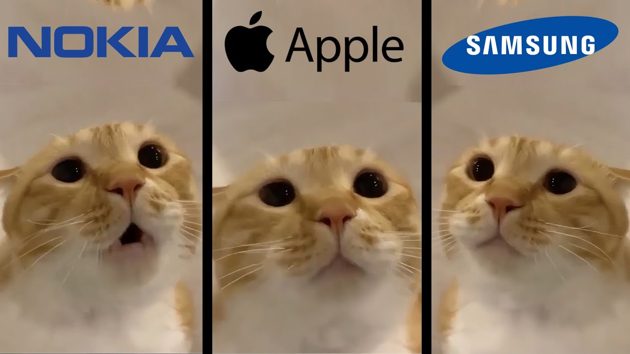 Moo Cat but famous phone ringtones