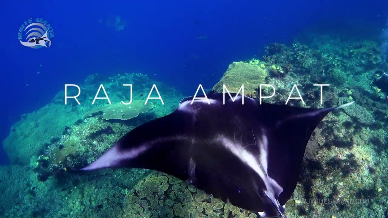 Raja Ampat