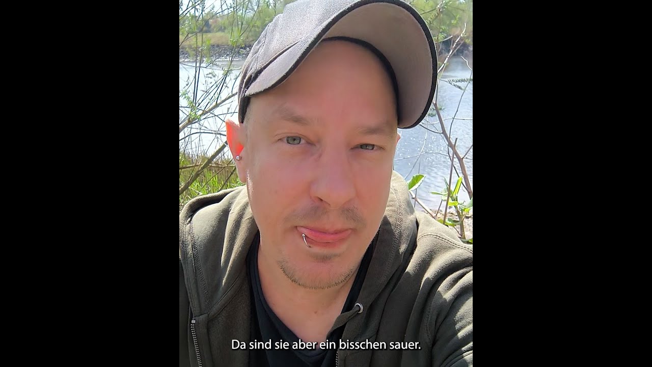 Japanischer Staudenknöterich in Natur und Küche - eat your enemies!
