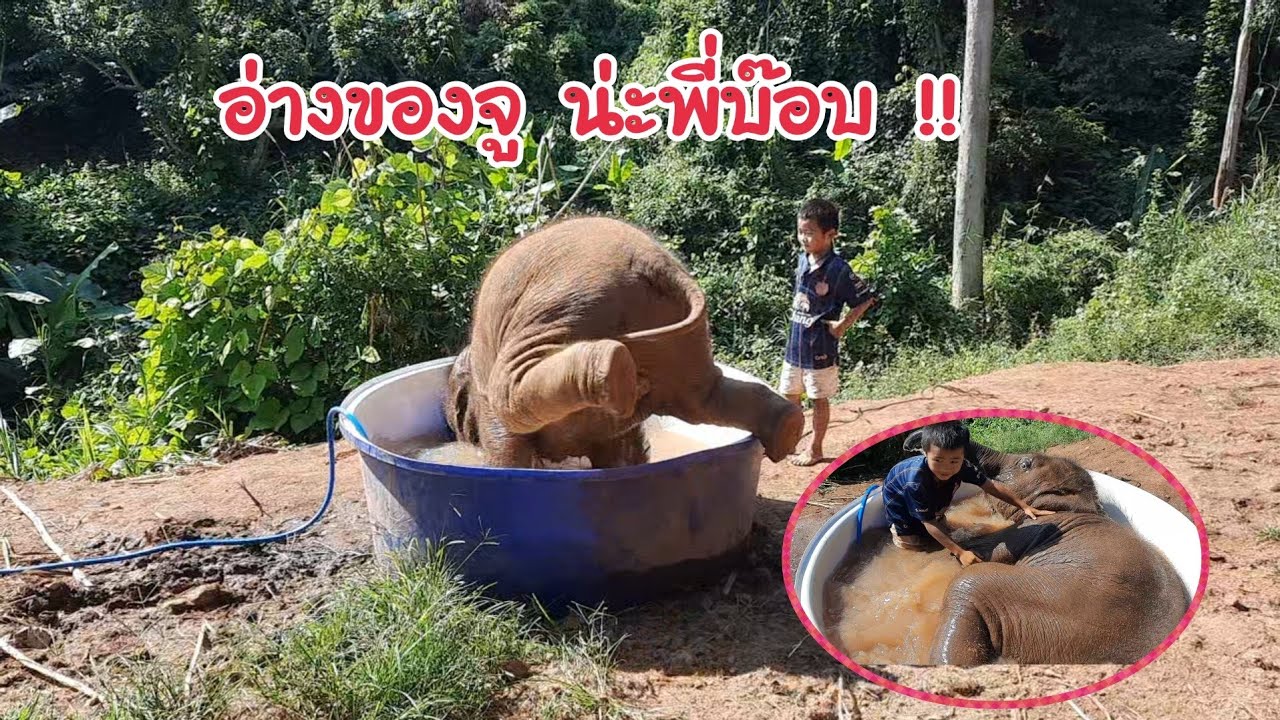 น้องจูเนียร์หวง เล่นอ่าง คนเดียว