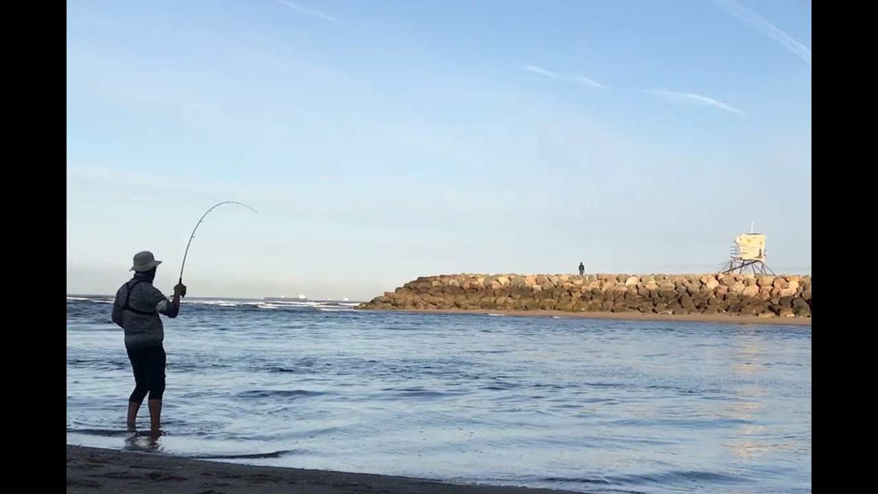 Lucky craft surf pointer 100/ Good fight with Big butterfly ray in Bolsa Chica State Beach 볼사치카 루어낚시