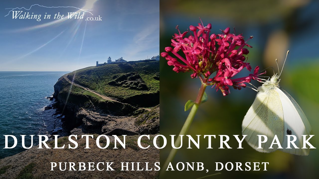 Dorset Walks: Durlston Country Park