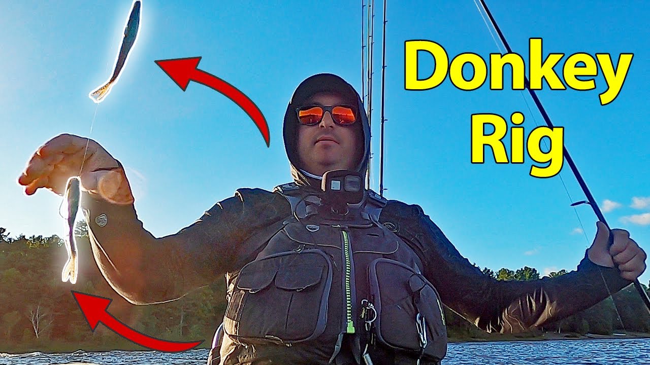Testing the Donkey Rig for the First Time – Can It Win the Tournament?