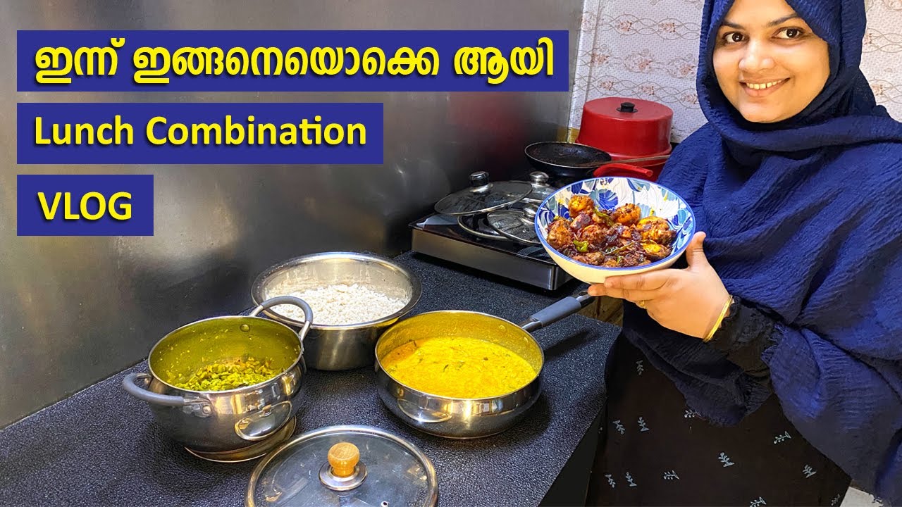 VLOG  ഇന്നത്തെ ദിവസം ഇങ്ങനെയാണ് Lunch Combination | Chicken Fry | Nidhashas Kitchen | Vlog Malayalam
