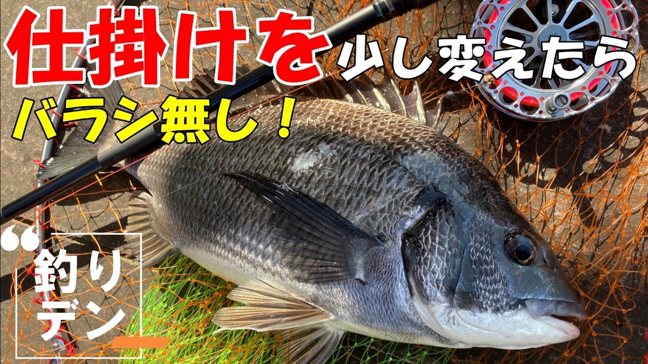 ヘチ釣り」仕掛けを少し変えるだけで釣果が変わるバラシ無しでした！