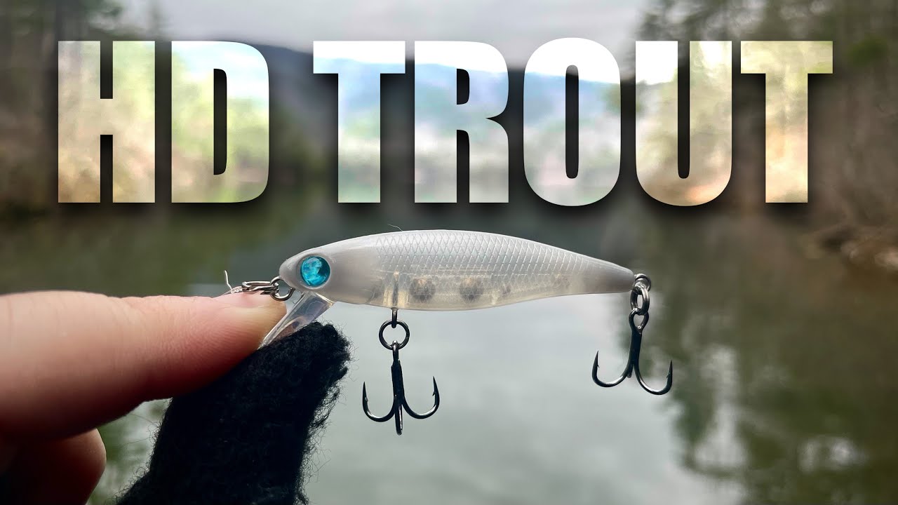 Dynamic Lures HD Trout (These little jerk baits are awesome)