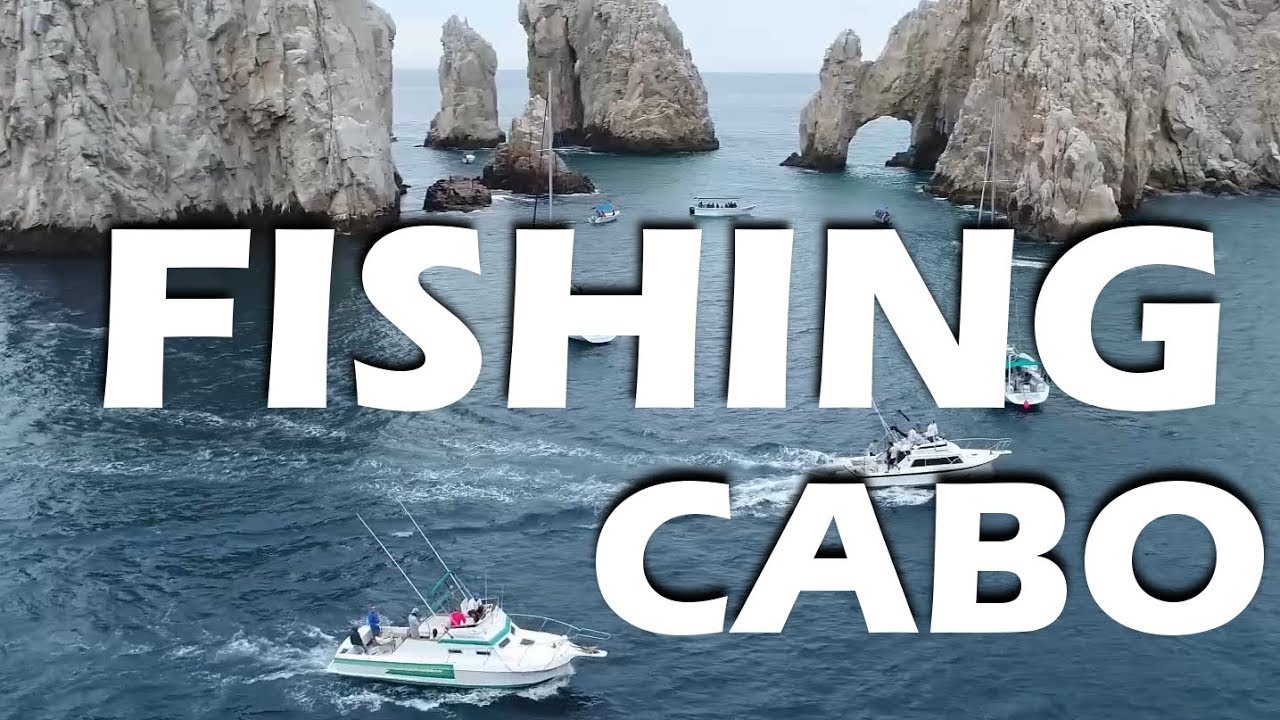 Marlin Fishing in Cabo and Whales! - S2:E13
