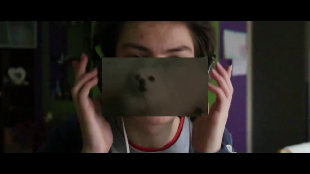 DON'T STOP ME GABE.bork (mini dog remix)