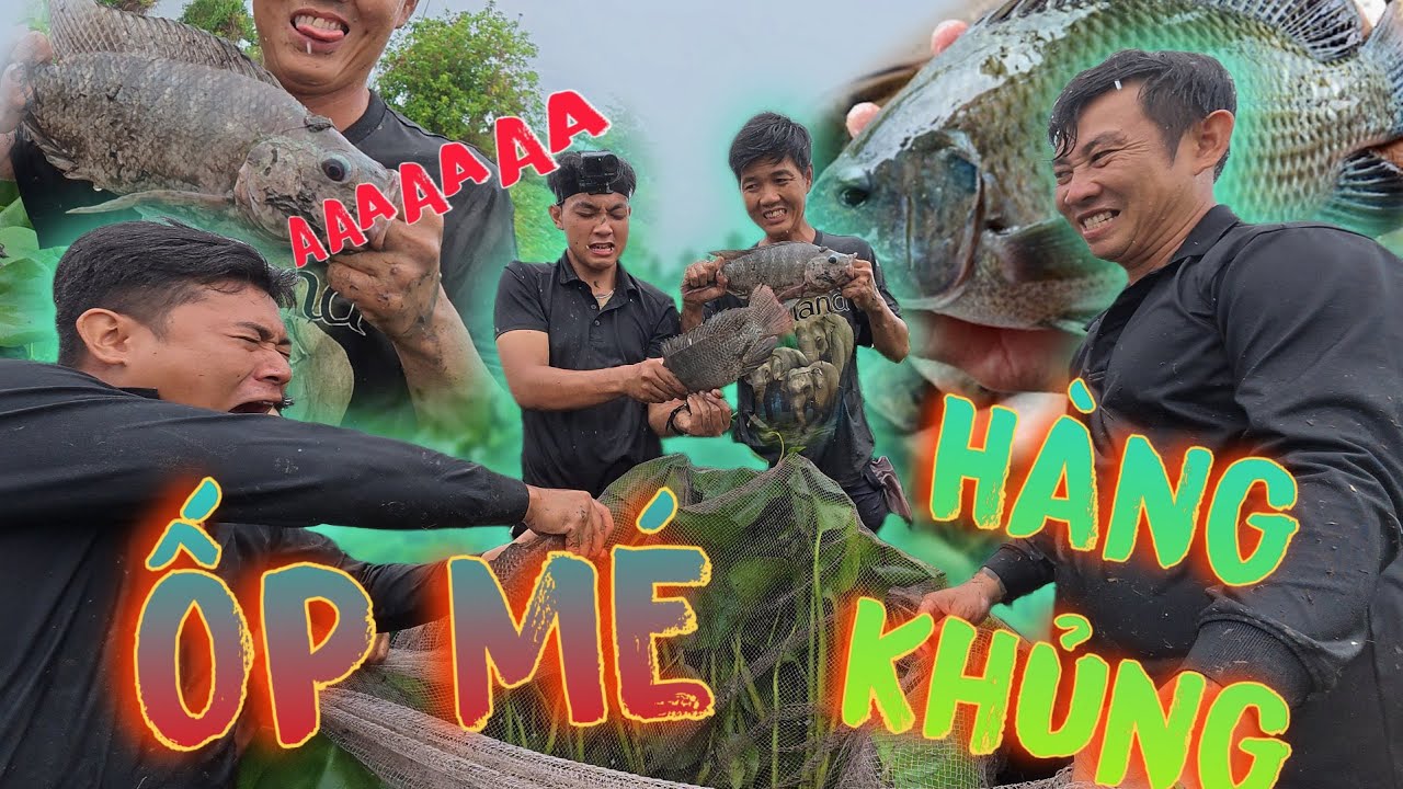 Ốp Mé Vô Tình Đụng Phải Bầy Cá Rô Tảng Thần ! | Thanh Nhã TV