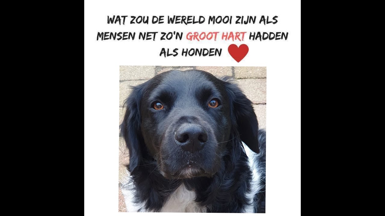 De eerste maand van Byke