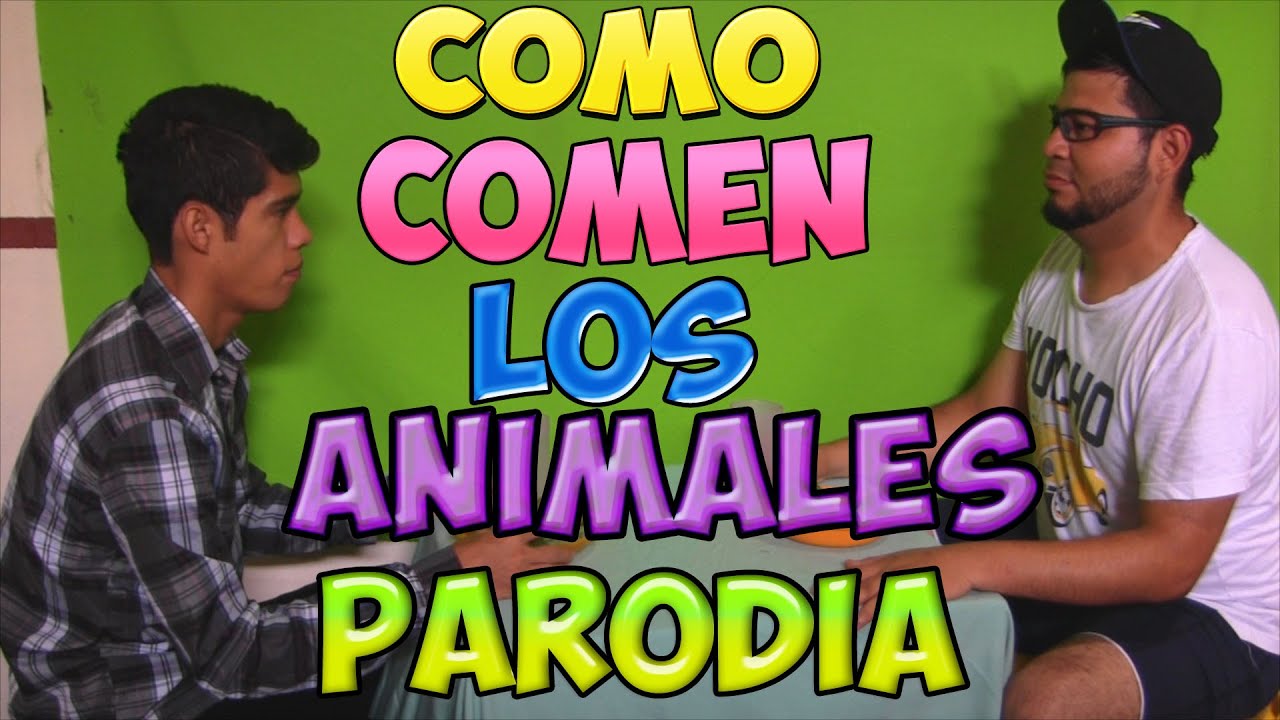 COMO COMEN LOS ANIMALES (PARODIA) | How Animals Eat Their Food | FALCONY