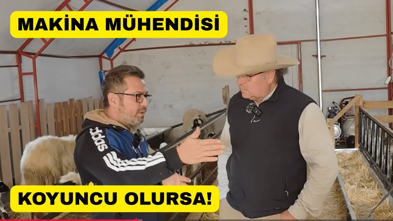 Когда инженер-механик решает разводить овец!