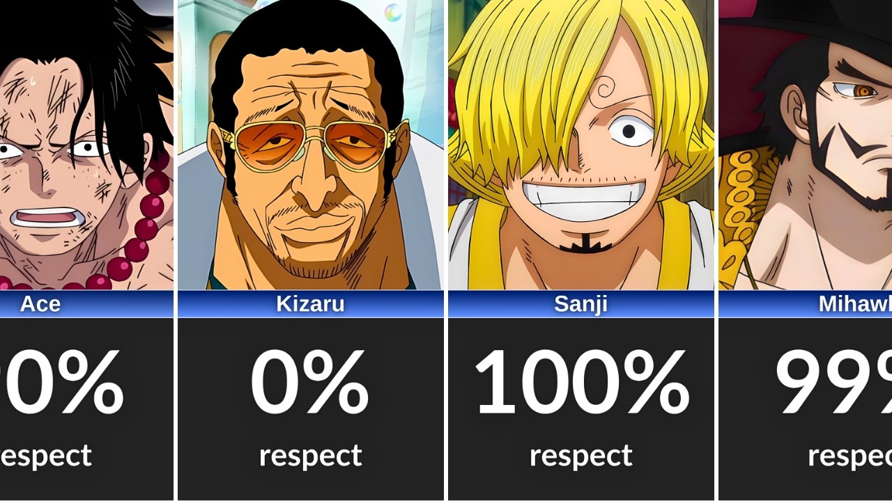 Who did Zoro respect in One Piece?