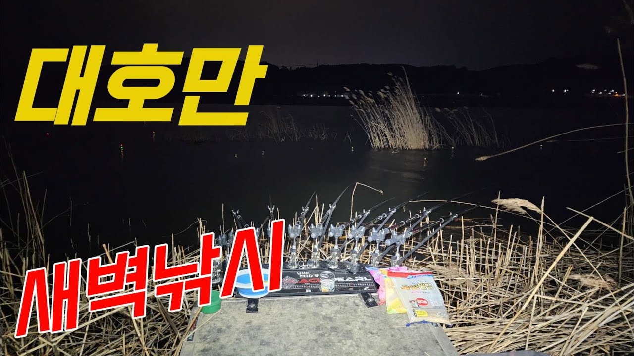 대호만 낚시 중입니다🔥 바람이 멈추지 않습니다.😱😱낚시는안다다 라이브 스트리밍 중