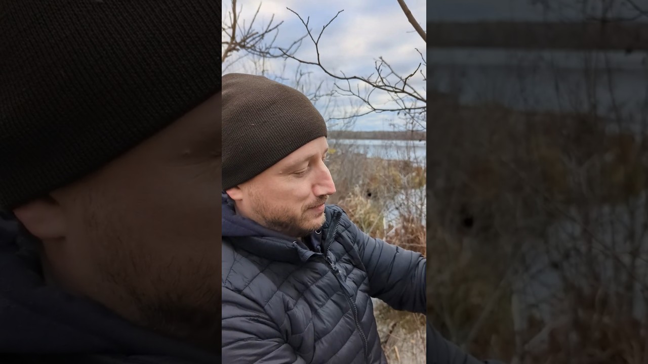 Happy Thanksgiving from Jon Perry