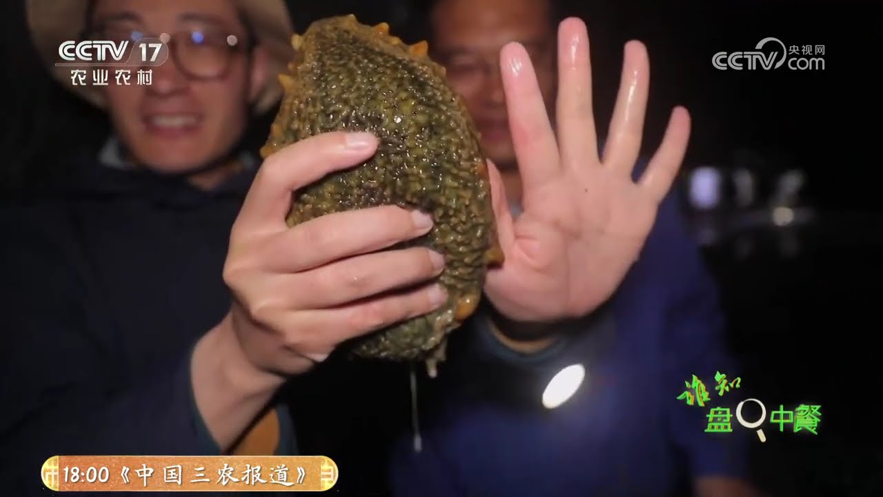 《谁知盘中餐》 20260320 春食纪 春捕两鲜 | 农业致富经 Agriculture And Farming
