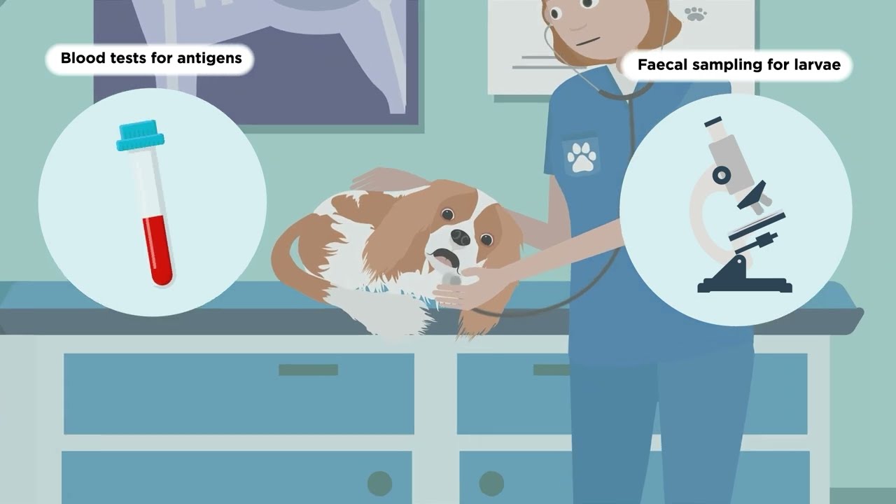 Which treatments would you choose for dog lungworm and why?