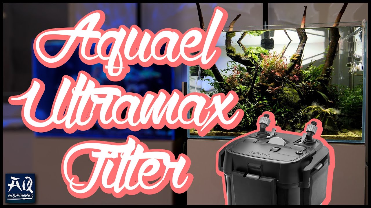 Der beste Filter den ich kenne? | AquaOwner
