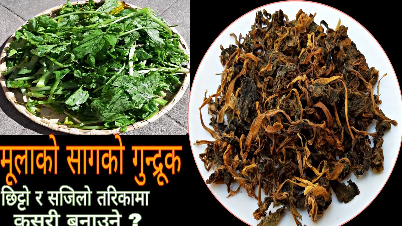 BASIC COOKING || Episode 13 ||मूलाको गुन्द्रुक कसरी बनाउने?||Gundruk Recipe|Gundruk Banaune Tarika