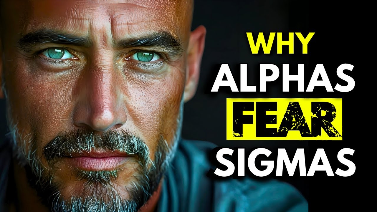 Why Alpha Males FEAR Sigma Males( But Won't ADMIT It)