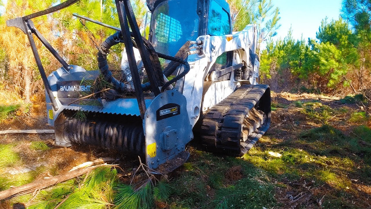 Forestry Mulcher on small Florida Volunteer Pines