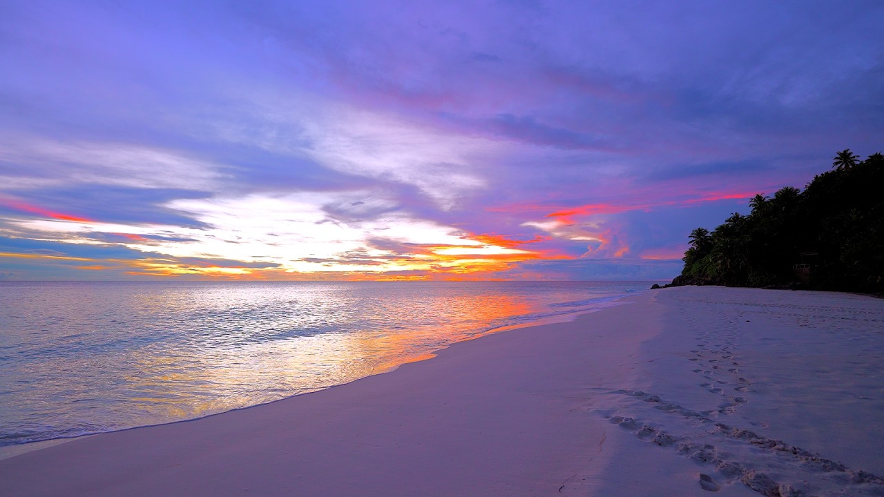 🏝 Paradise Found: Seychelles Beach and Crystal Turquoise Waters.