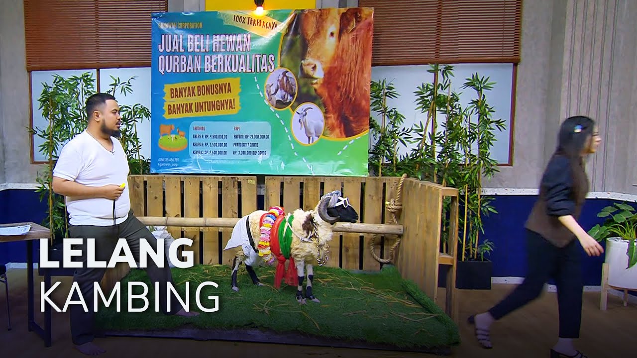 ECA RIGEN TERTIPU LELANG KAMBING! (2/3) MAIN HAKIM SENDIRI