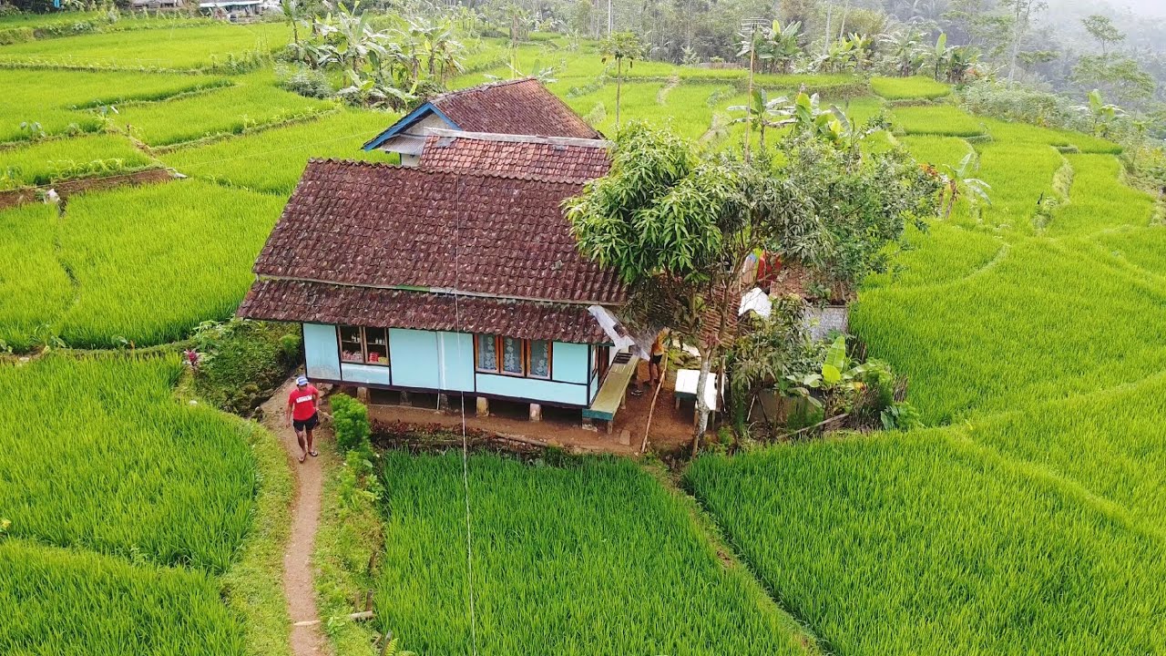 SUMPAH INDAH! Pemandangan Alam Tasikmalaya, Suasana Pedesaan Jawa Barat, Beautiful Village Atmosfer