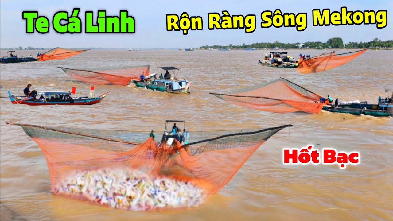 Tưng Bừng