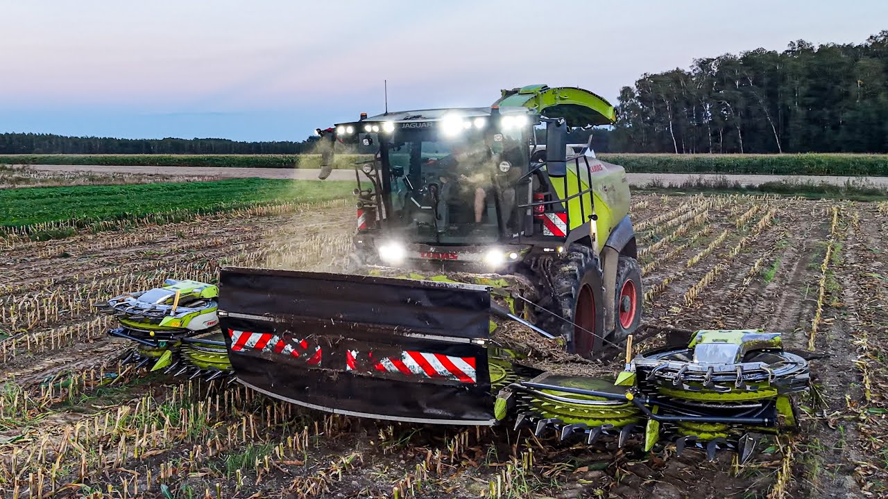 🇵🇱 CLAAS JAGUAR 1200 ✮ KUKURYDZA 2026 | Gospodarstwo Rolne Stelęgowscy