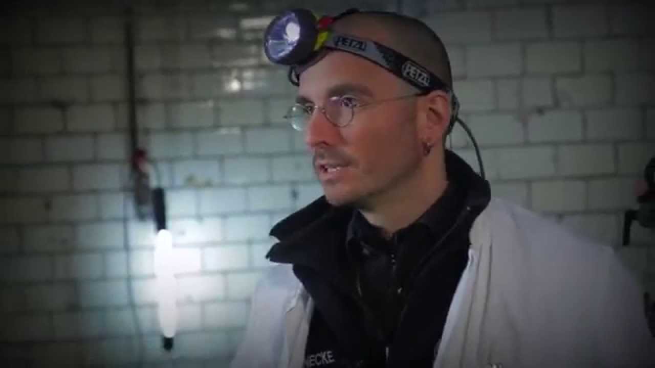 Ortstermin: Mark Benecke über seine Arbeit an Tatorten und Hilfe von Insekten