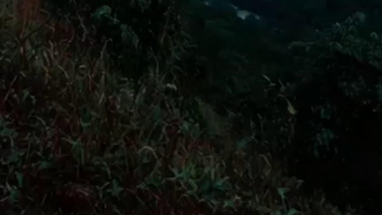 Duerme y descansa como te mereces saludos a todos