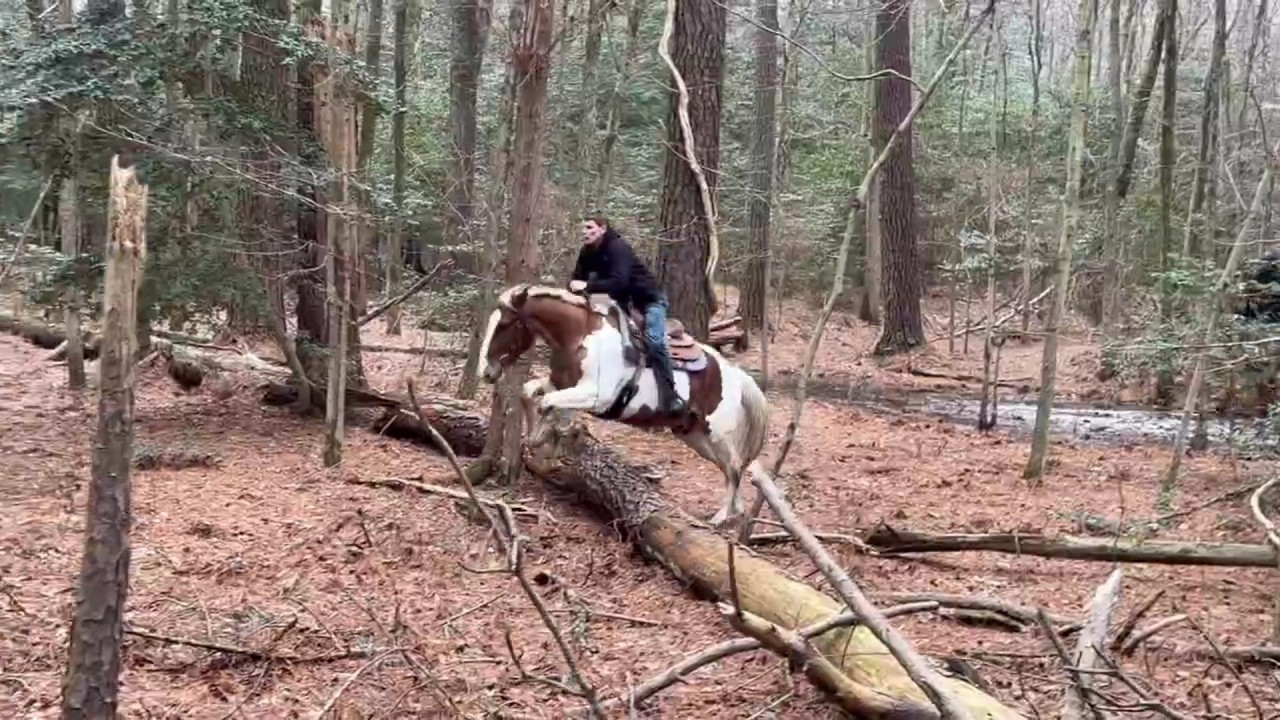 Woodie trails longer video