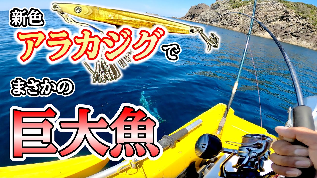 過去最大‼︎ 初使用の新色アラカジグで嬉しい巨大魚❗️