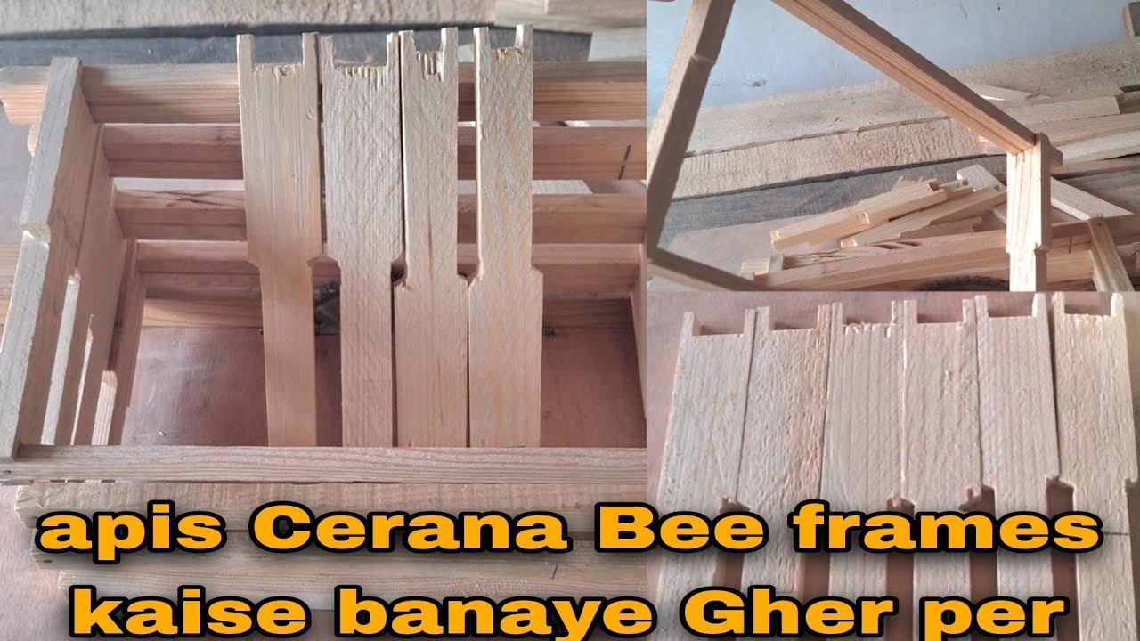 Apis Cerana Bee Frames Kaise Banayein Ghar Par ||how to make Apis Cerana Bee Frames at home