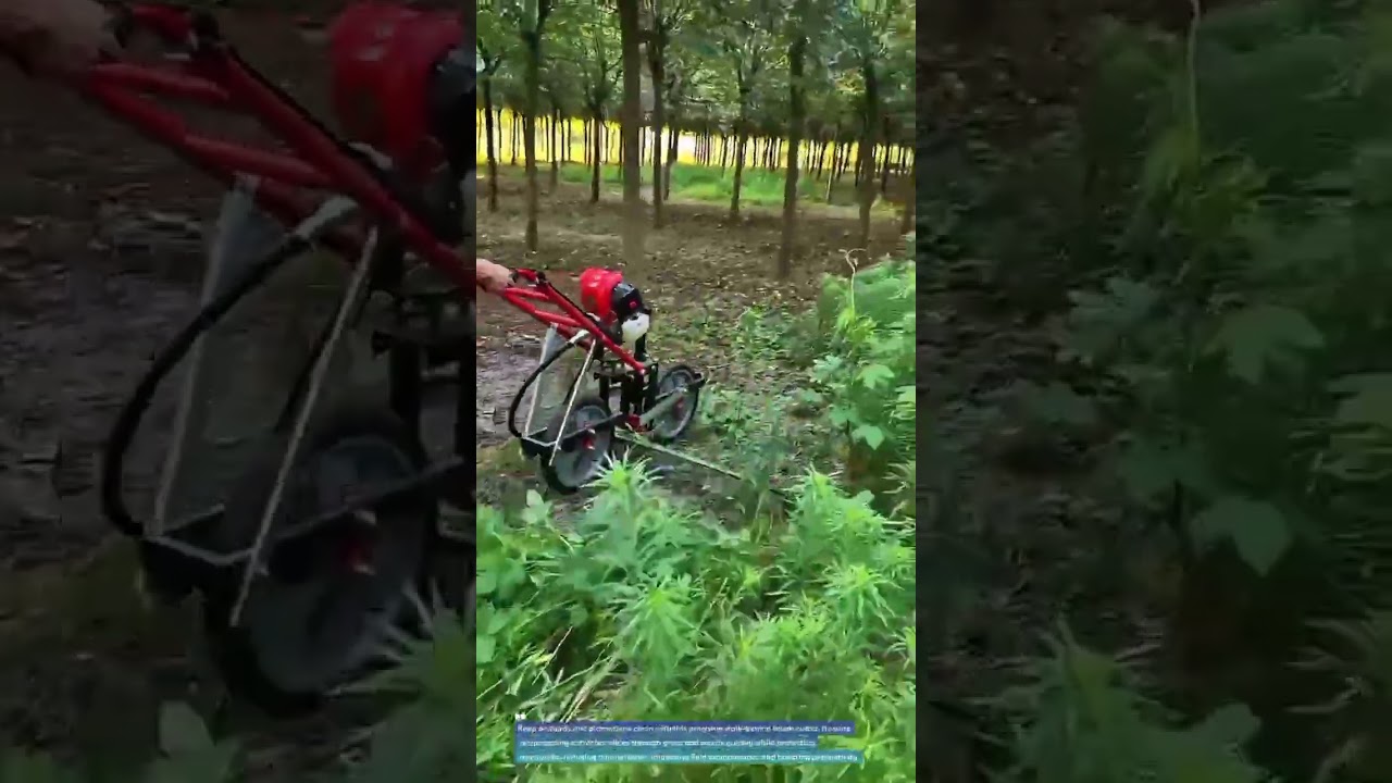 Precision Walk-Behind Brush Cutter for Fast Orchard Weed Control #BrushCutter #WeedControl #FarmTech