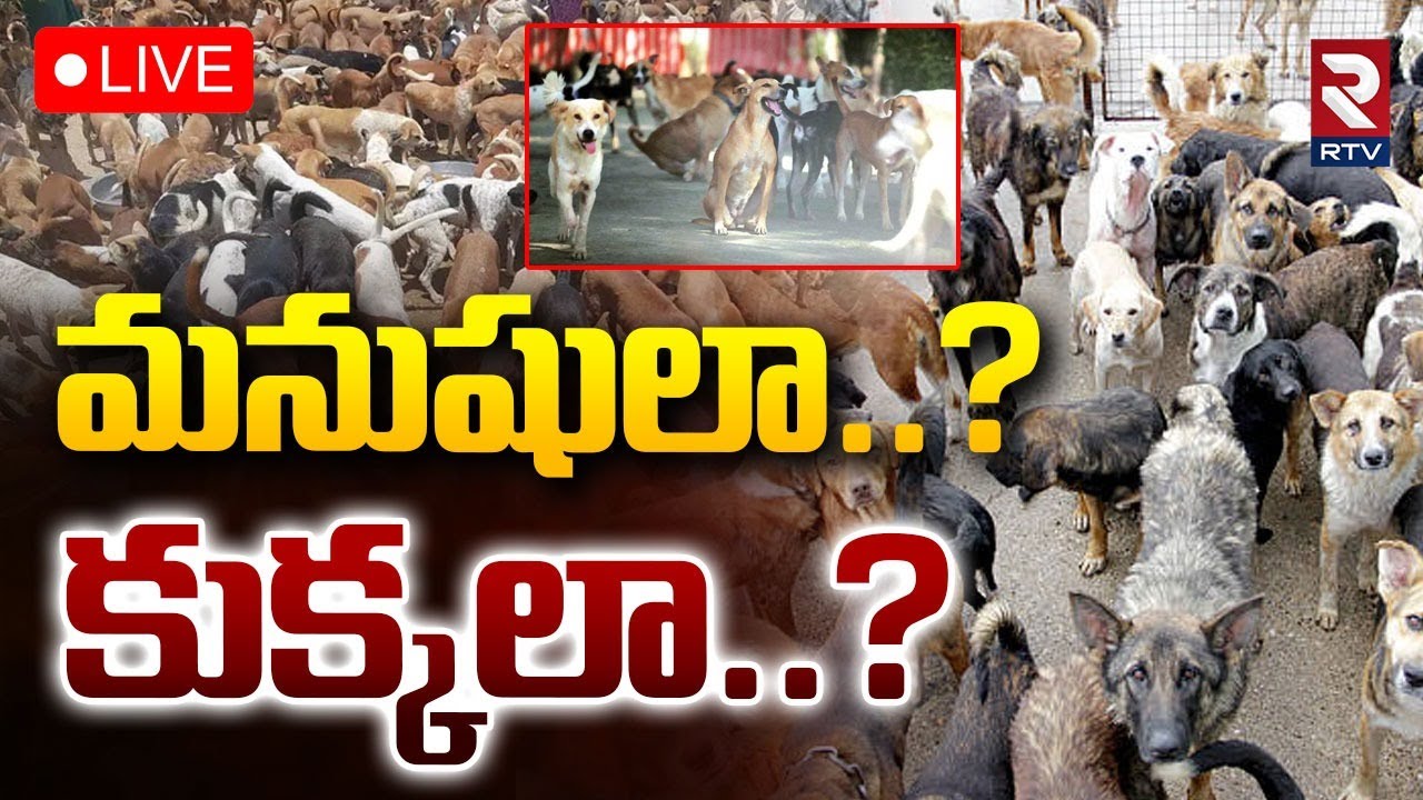 Telangana Dogs Hunting Controversy🔴LIVE : మనుషులా..? కుక్కలా..? | Renu Desai | Anchor Rashmi | RTV