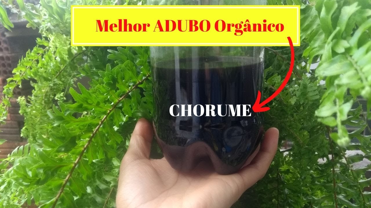 COMO USAR O CHORUME  NAS PLANTAS?