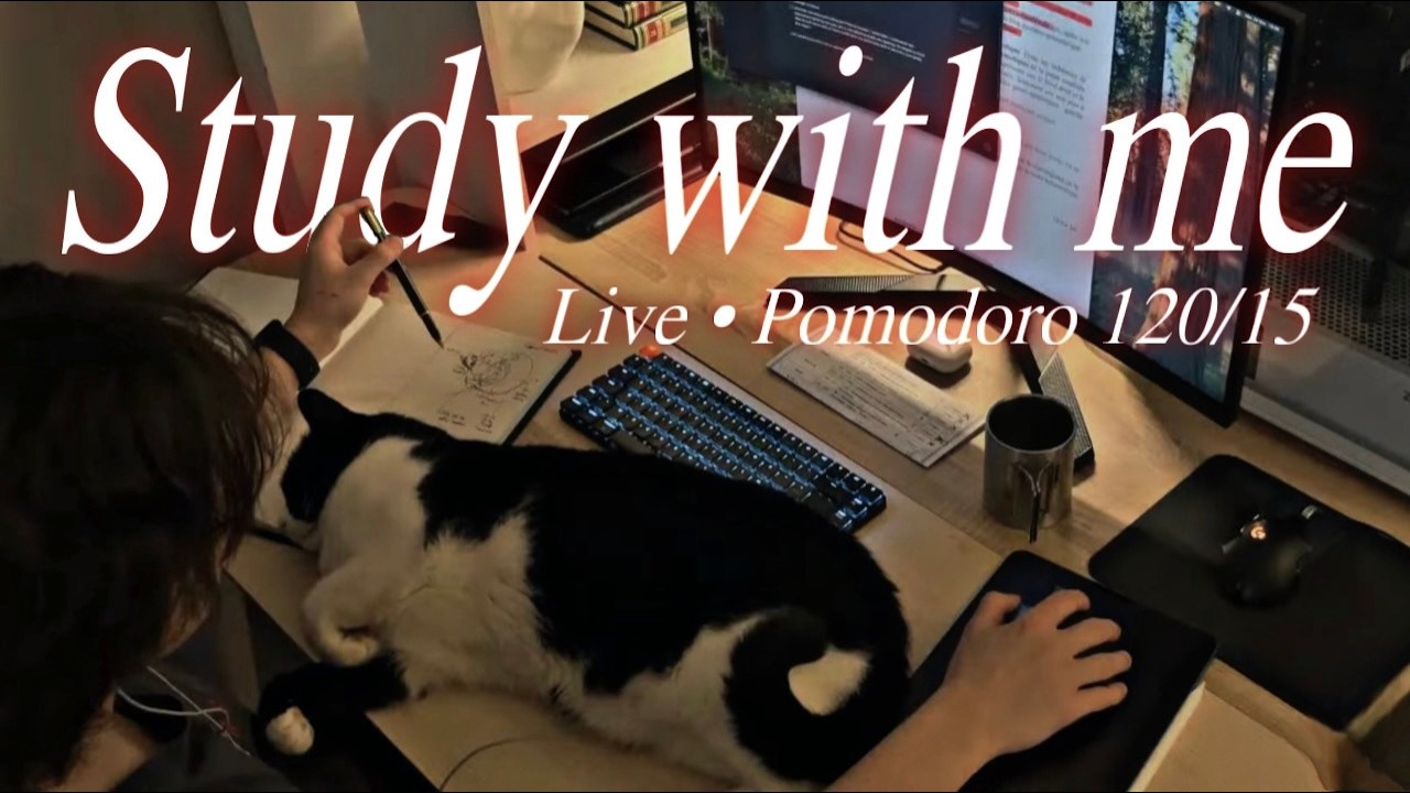 8-HOURS STUDY WITH ME LIVE | Pomodoro 120/15 (ambient sounds)