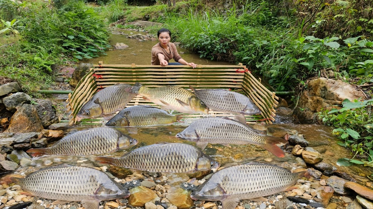 Details about Ana's most effective fishing methods. She harvested hundreds of kilograms of fish.