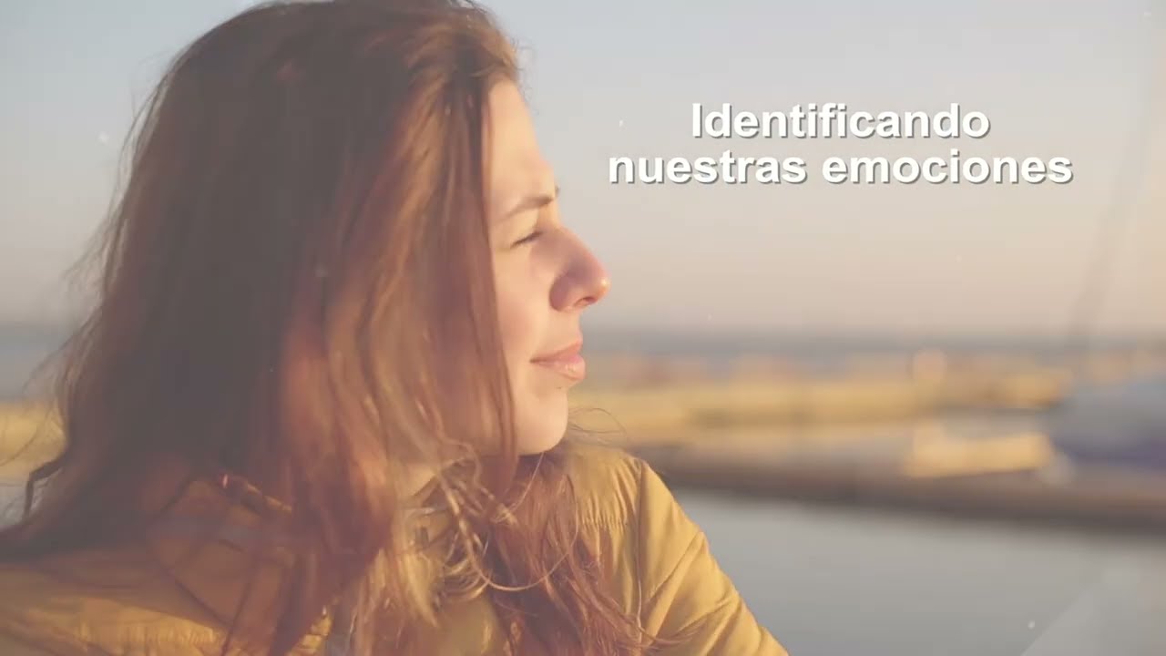Entornos Laborales Saludables: Gesti&oacute;n de las emociones