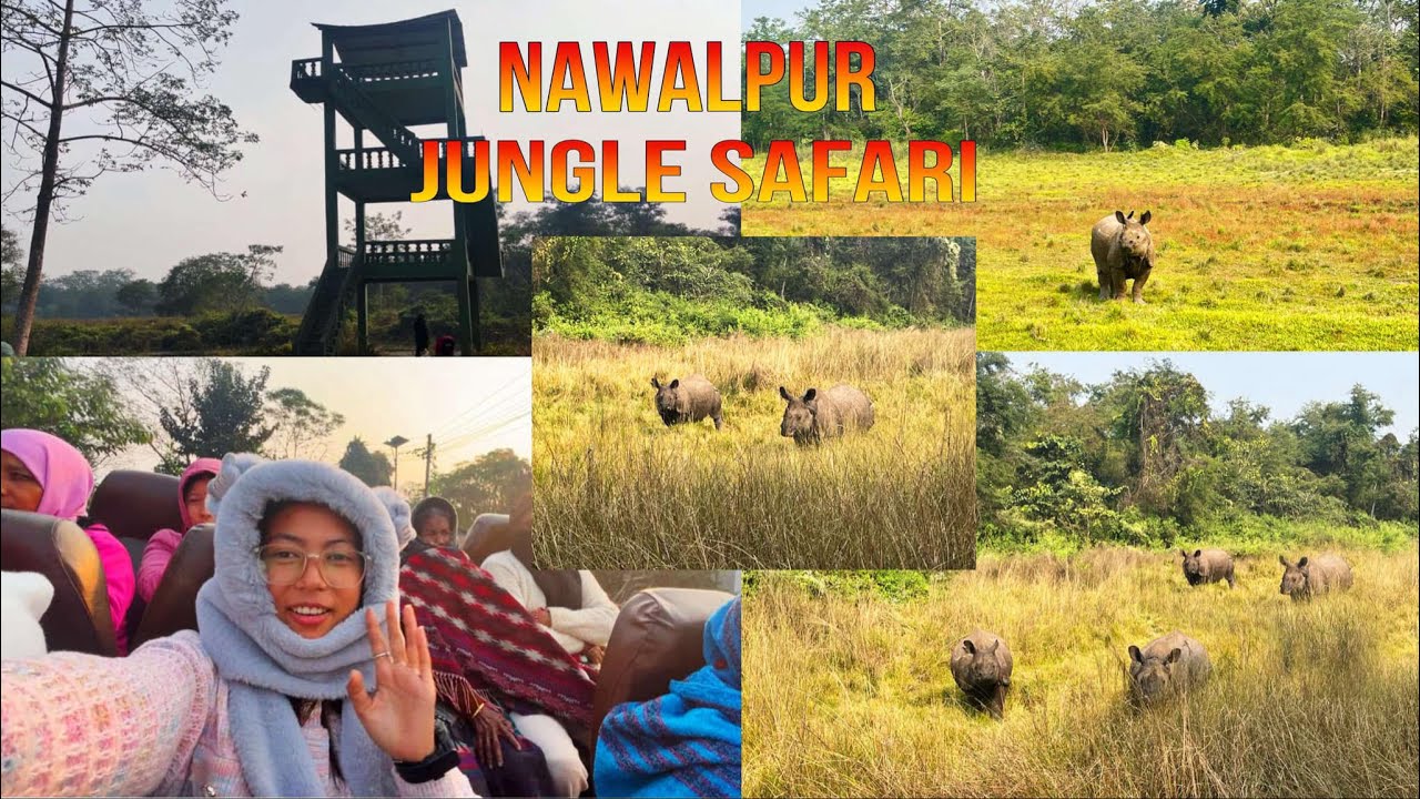 AMALTARI MADHYAWARTI AREA JUNGLR SUFFARI ⛄️🌸| NAWALPUR CHITWAN NATIONAL PARK | TEAM DHAJAHA