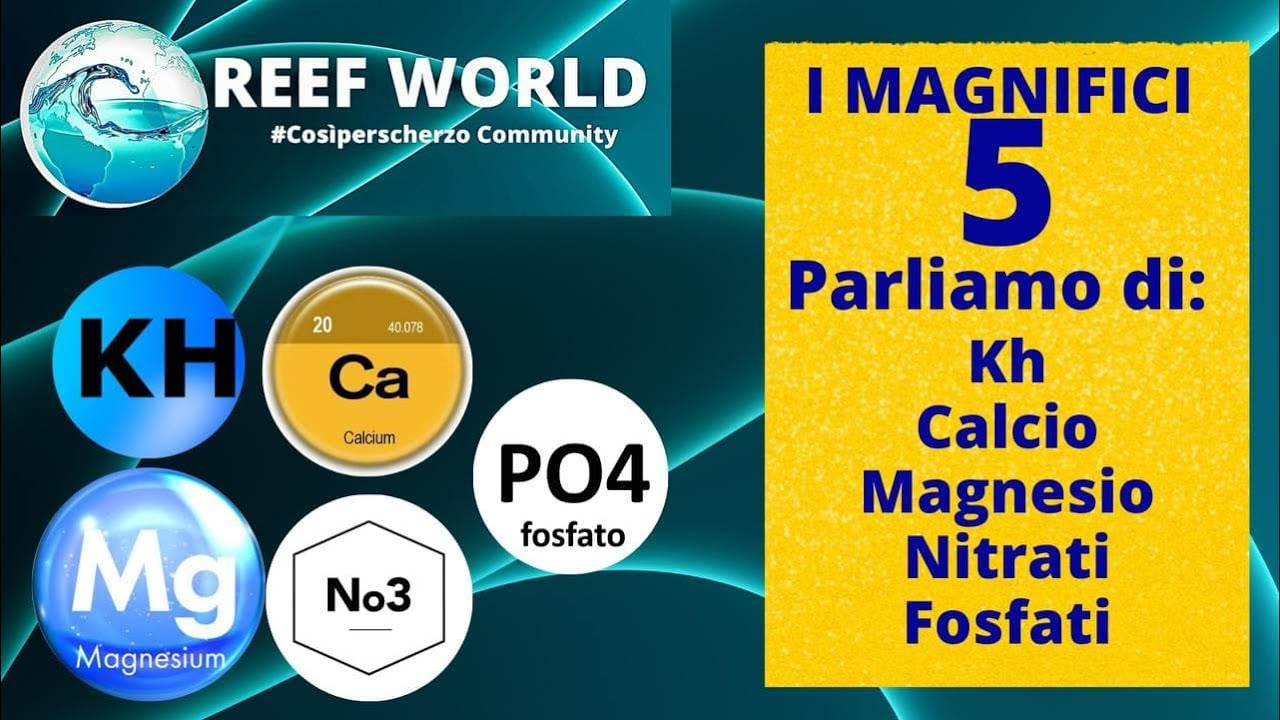 I magnifici 5