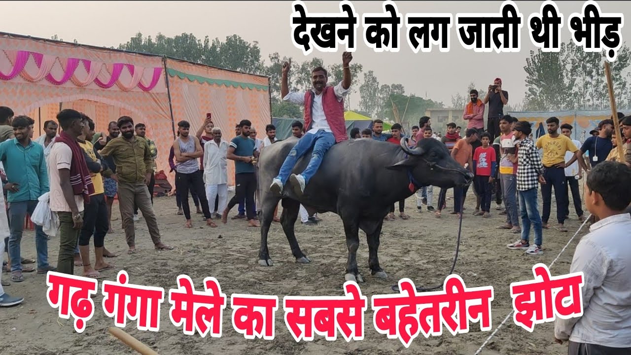 गढ़ गंगा मेले का सबसे बहेतरीन झोटा | संदीप ढिकोली का बाबा झोटा | #jhota #gangaji
