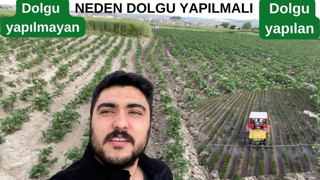 BÖCEK-MANTAR İLACI ~ NEDEN DOLGU YAPILMALI