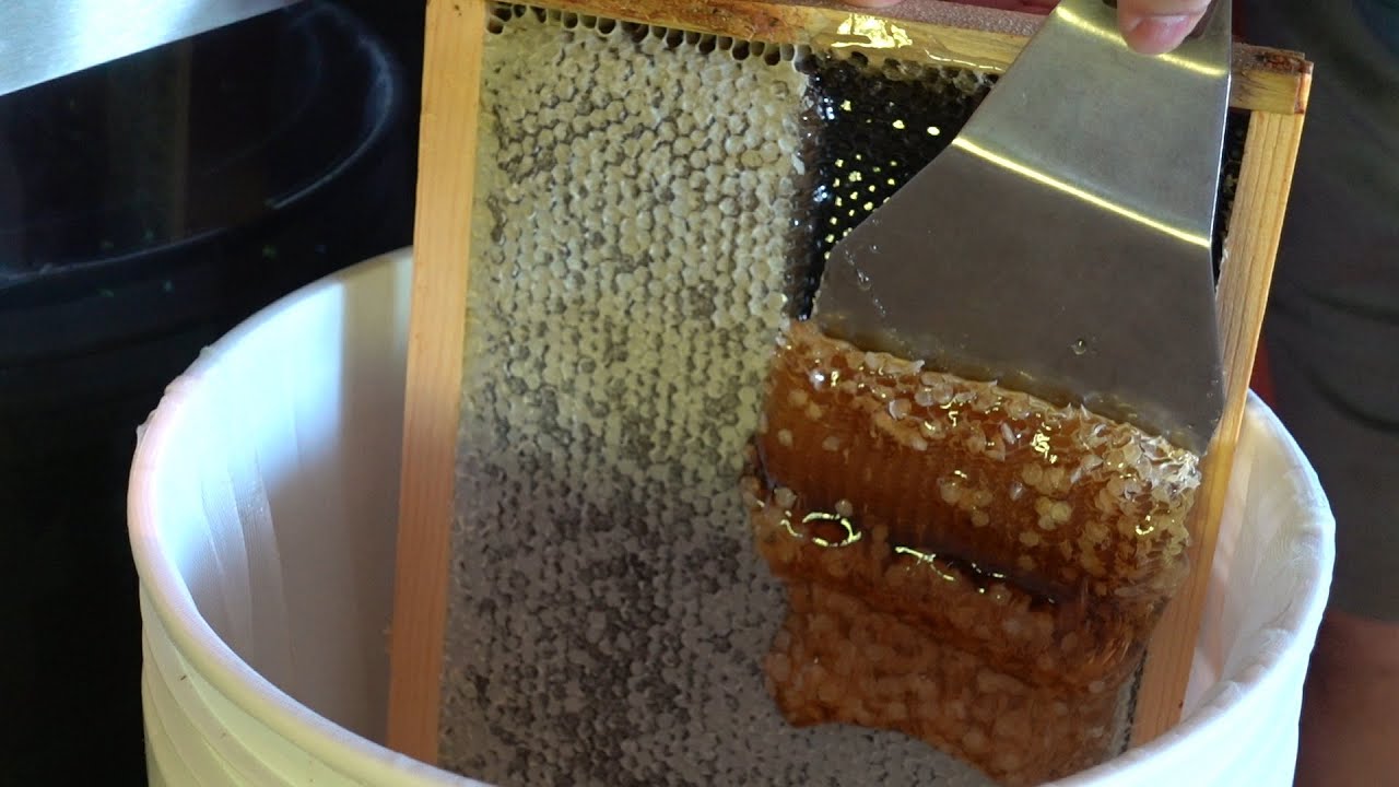 Desperate times call for desperate measures | Crush and Strain for honey