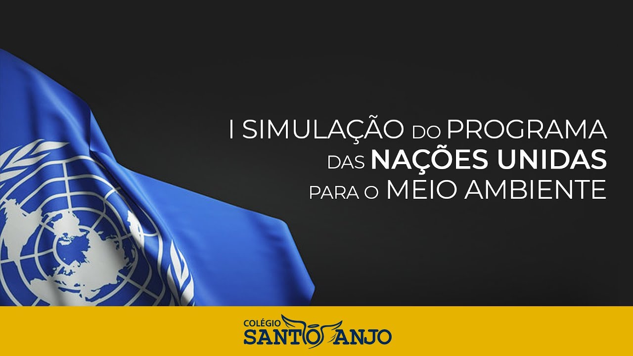 SIMULAÇÃO DO PROGRAMA DAS NAÇÕES UNIDAS PARA O MEIO AMBIENTE