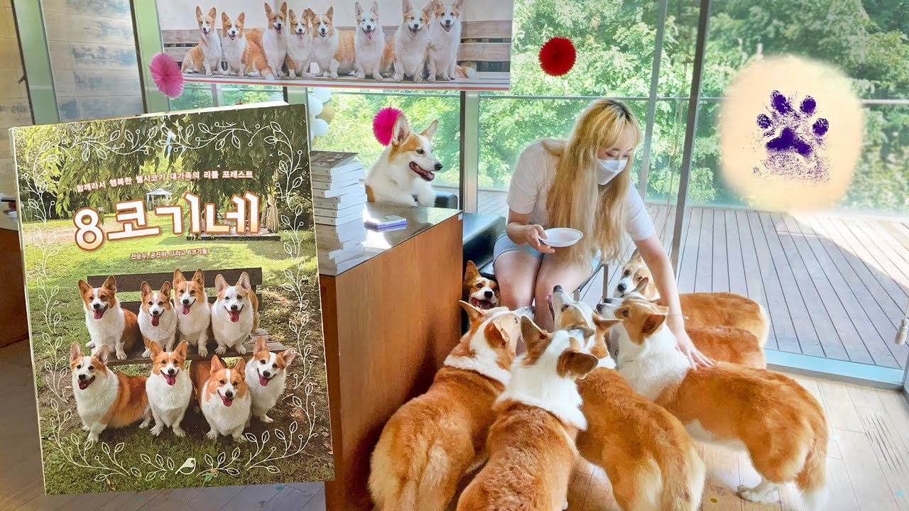 가을은 Dog서의 계절 ㅣMy Lovely dogs' little forest